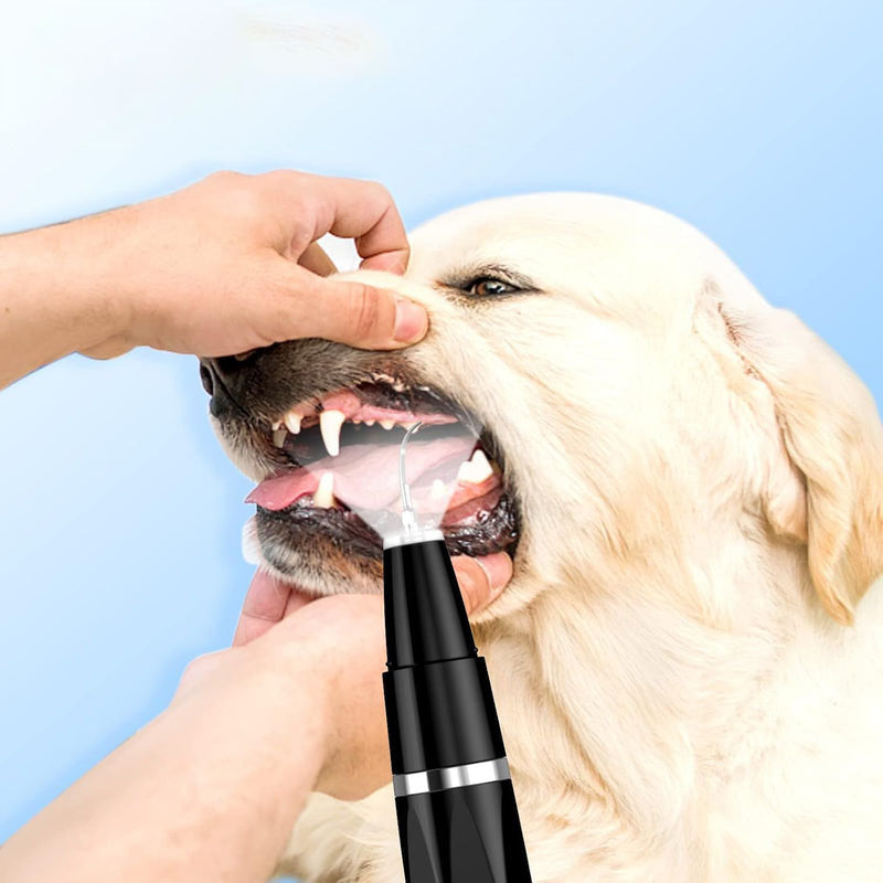 Ultrasone Tandenborstel voor Huisdieren – Professionele Tandverzorging voor Honden & Katten